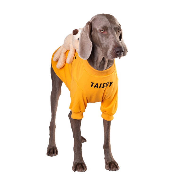 Sweat-shirt pour chien, vêtement de printemps et d&#39;automne, grand gabarit, mince et mignon, Golden Retriever Labrador Shiba Inu, accessoires pour chien