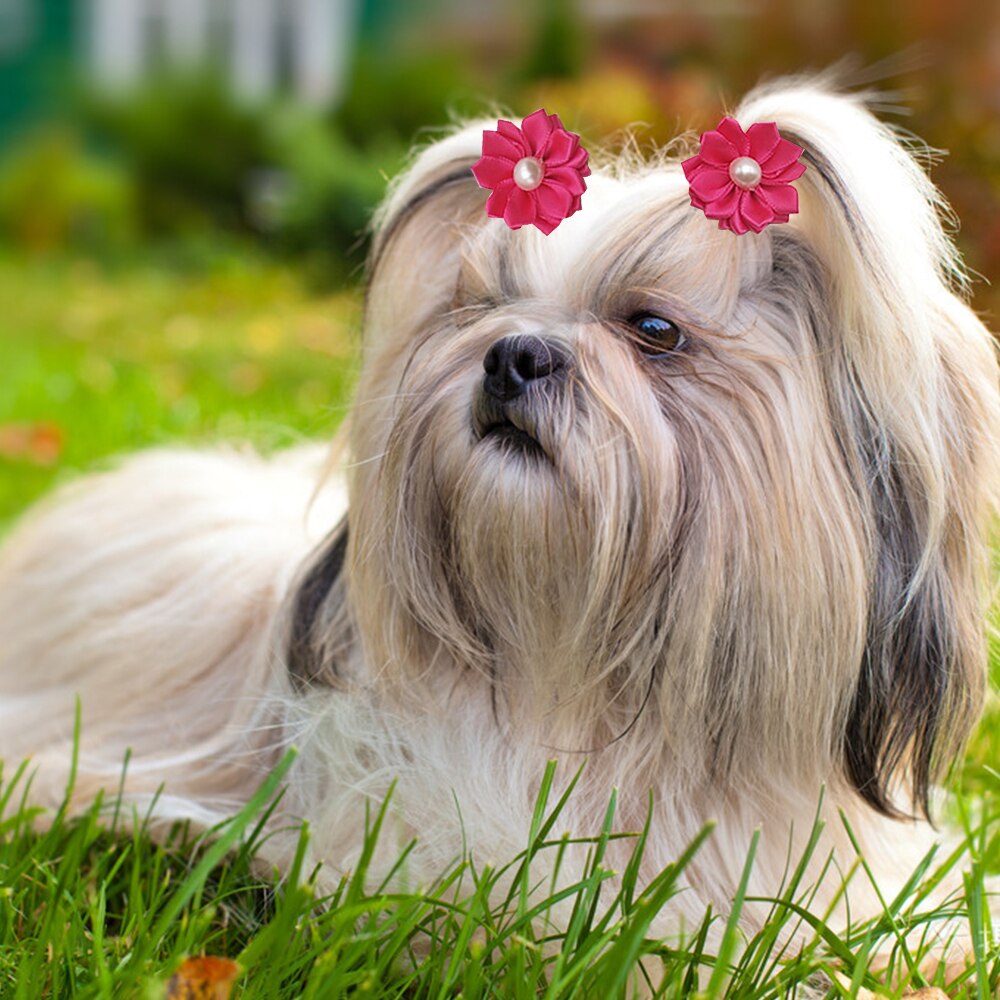 Fiore cane capelli fiocchi capelli lunghi cani da compagnia archi elastico gatto cucciolo clip di capelli Pet Grooming Bow accessori per cani