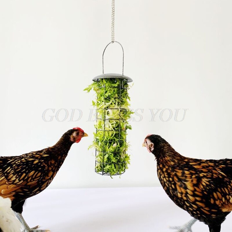 Cesta de alimentación para pollos, alimentador de verduras, frutas, verduras, Paloma, polluelo, gallina, diversión, caja de tratamiento de Metal, herramienta de alimentación