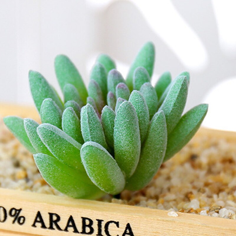 1Pc Groen Paars Rood Massaal Kunstmatige Vetplanten Planten Tuin Decoratie Bloemstuk Badkamer Accessoires Plant: Style17