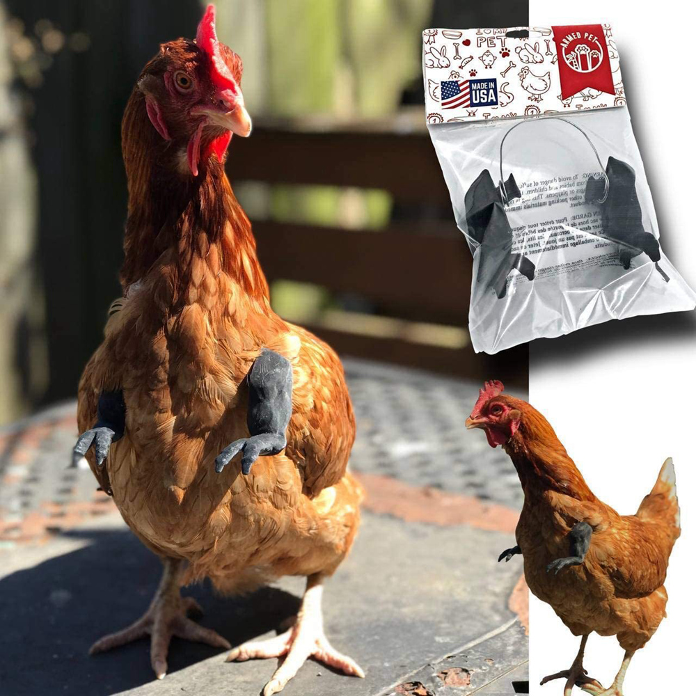 Funny Fighting Chicken Arms Toys Artificial Wearing Muscle Arm For Pigeon Hen Pet Theme Party Props Chicken Accessories Supplies: WHITE
