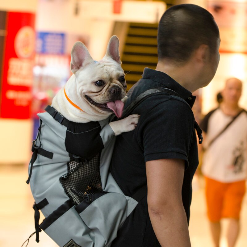 Ademend Hond Draagtas Speciaal Voor Grote Honden Outdoor Bulldog Backpacken Verstelbare Reistassen Huisdieren Producten Puppy: GRAY / L