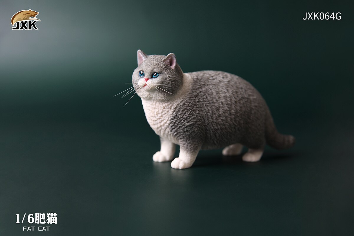 Jxk 1:6 Schaal Vet Kat Figuur Leuke Pet Animal Model Collector Kids Toy Desktop Decor Korthaar Kat Trendy Ornamenten: JXK064G