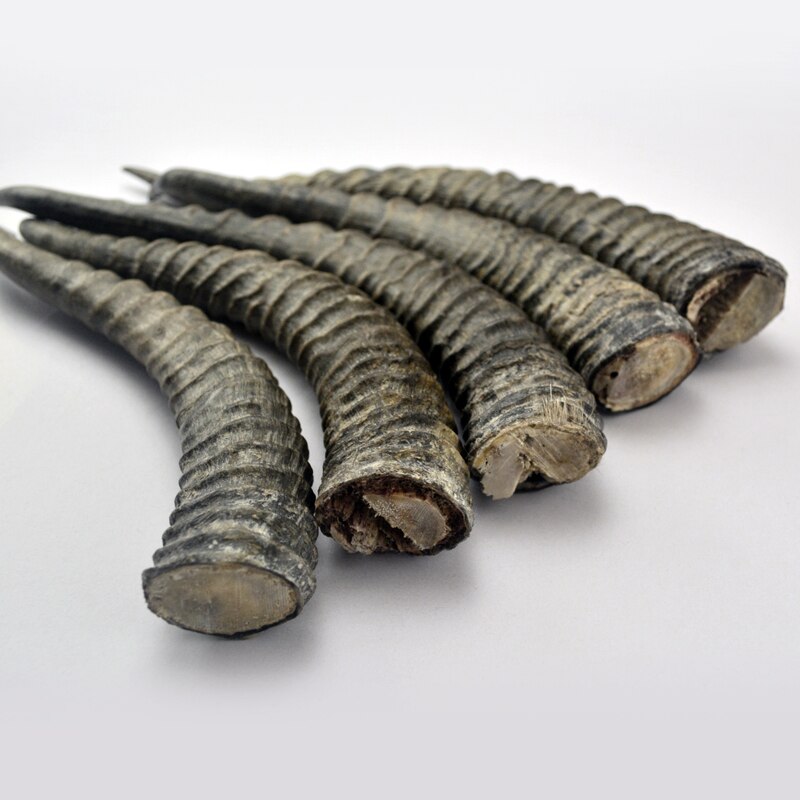 Naturalne rogi antylopowe wystrój poroża zrobić rękojeść noża materiał