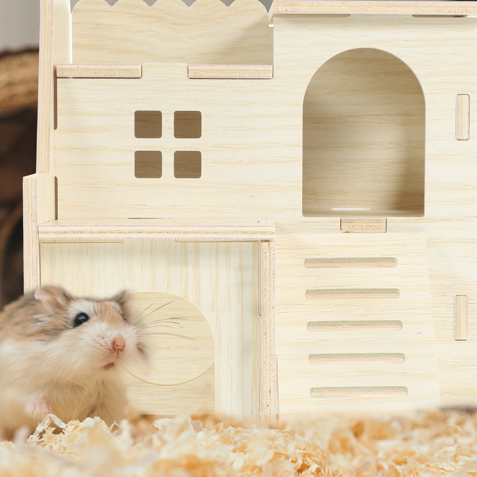 Maison délicate, grande cachette de lapin, Cages en bois, maisons et cachettes de cochon d'inde