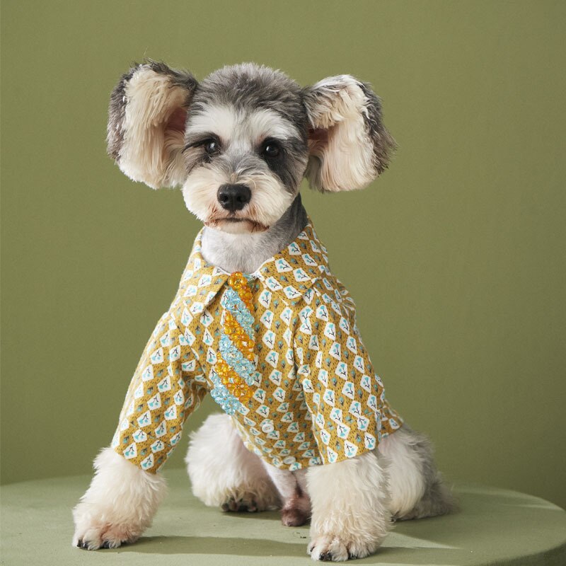 Plush Dog Shirt Spring Autumn Chihuahua York Puppy Clothes Pomeranian Poodle Bichon Teddy Schnauzer Corgi Shiba Lnu