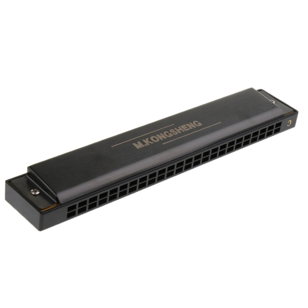24 Holes Adult Learning C Key Tremolo Harmonica for Students Practicing: Matte Black