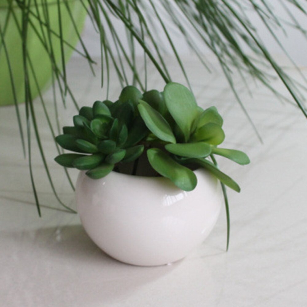 Mini keramische decoratieve bloempotten plantenbakken vetplanten kwekerij bloemenhouder organizer tuinbenodigdheden met gat (wit)