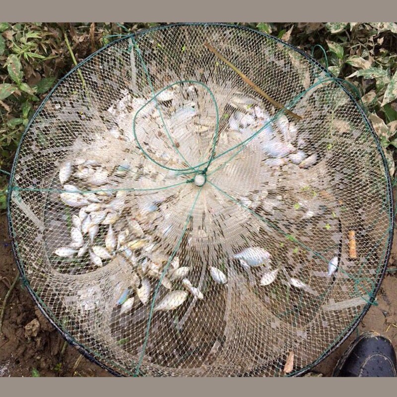 Fishing Net Round Shrimp Cage Fishing Shrimp Net Folding Fishing Tool Catch Fish Lobster Hand Throw Net Loach Cage