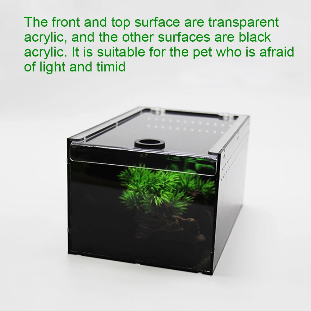 Tortoise Geckos Terrarium Rectangle Clear Front Top Acrylic Feeding Box Sliding Cover Insect Spider Reptile Breeding Tank Lizard