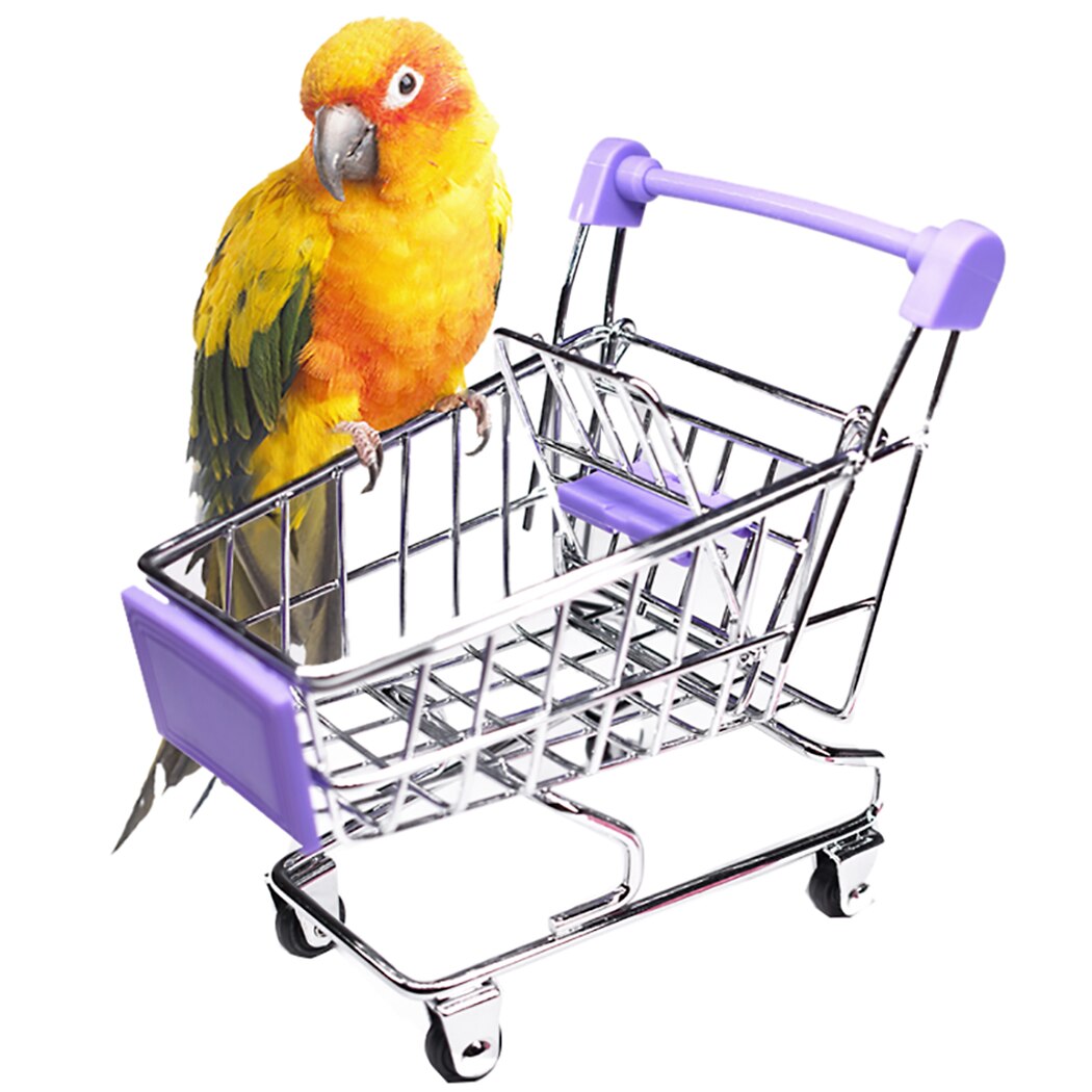 Colorful Funny Mini Supermarket Shopping Cart Trolley Pet Bird Parrot Hamster Toy Mini Shopping Cart Bird Shopping Cart: Purple
