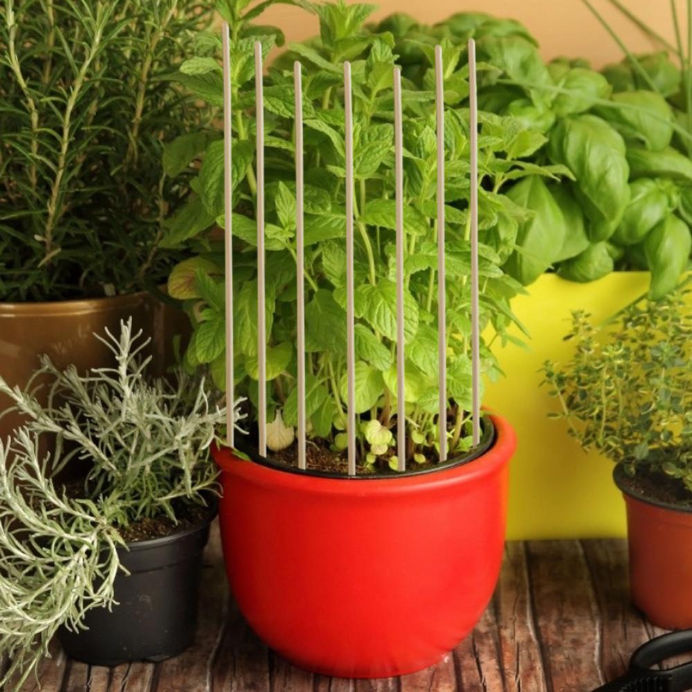 Palo de soporte de madera para plantas, herramienta de Jardín de plantas en maceta para interiores, flores y plantas para crecimiento de varilla de soporte, palitos de bambú para picar, 50 Uds.