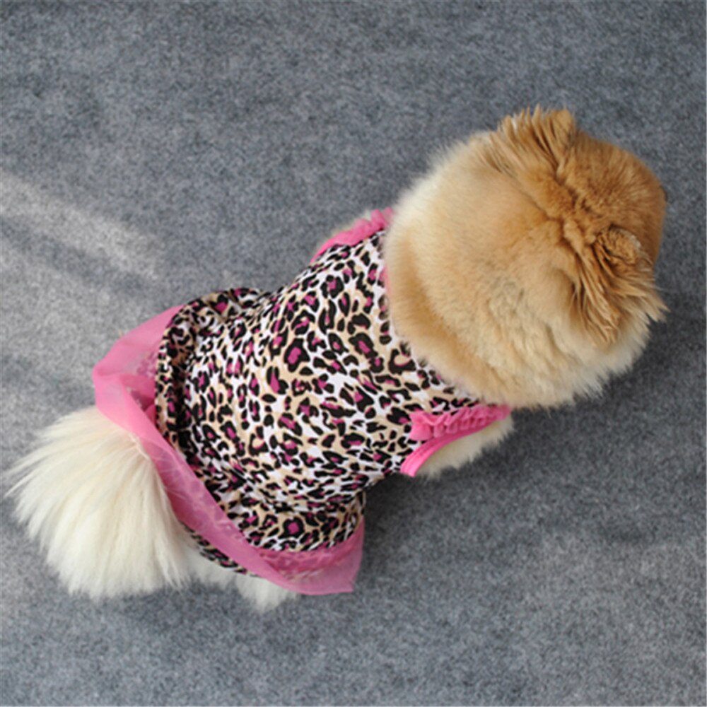 1Pc Leuke Hond Rok Lente Zomer Herfst Luipaard Vest Lace Fillibeg Tiered Rok T-shirt Mooie Kittens Puppies Trendy dragen