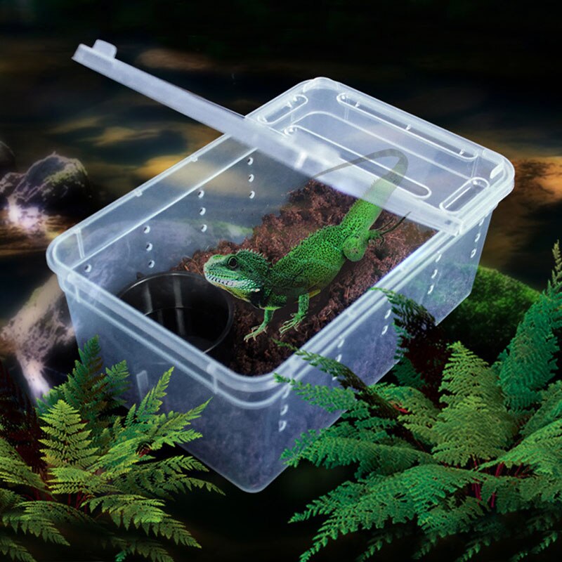 nueva caja de plástico transparente reptil de insectos transporte de cría de alimentos vivos caja de alimentación