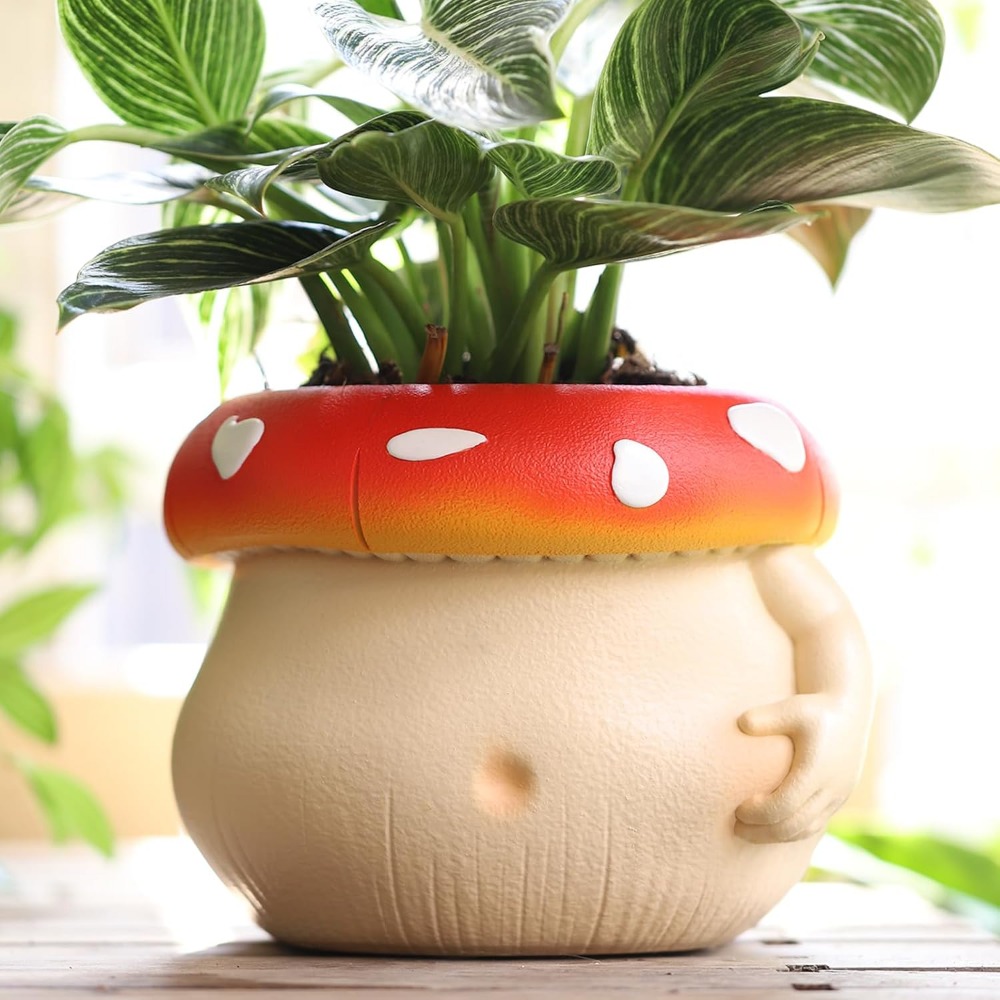 Petit pot de plante décoratif en céramique pour plantes d'intérieur et d'extérieur, jardinière de fleurs mignonne, pot succulent, salle plus lente, 2024