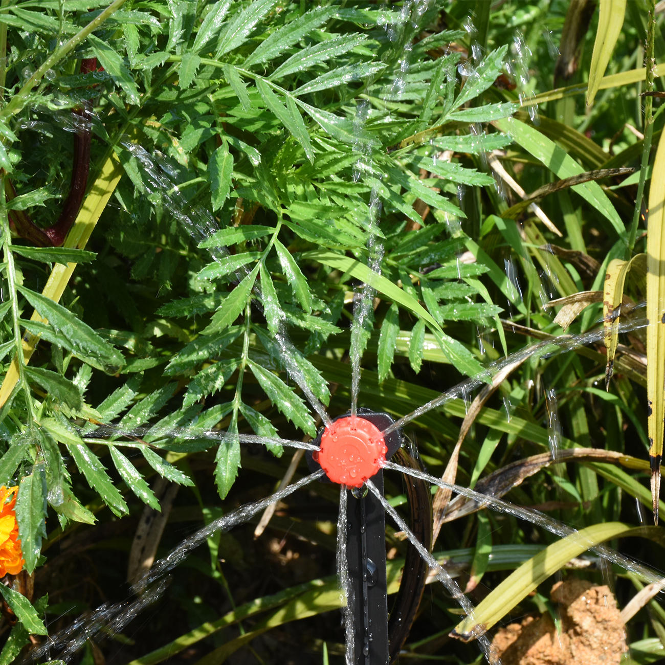 30-500 Stuks Verstelbare 1/4 Irrigatie Misting Druppelaar Sprinkler Emitter Micro Drip Tuin Watering Tool Balkon Tuin Kas