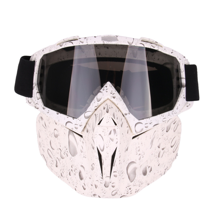 Queshark mænd kvinder ski snowboard snescooter beskyttelsesbriller maske sne vinter skiløb briller motocross solbriller: W