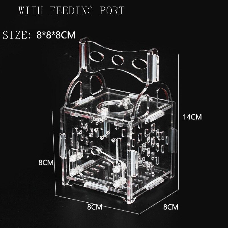 Insect Transparent Acrylic Cage Reptile Feeding Box Insect Container Praying Mantis Reptile Home Insect Cage Breeding Box Pet