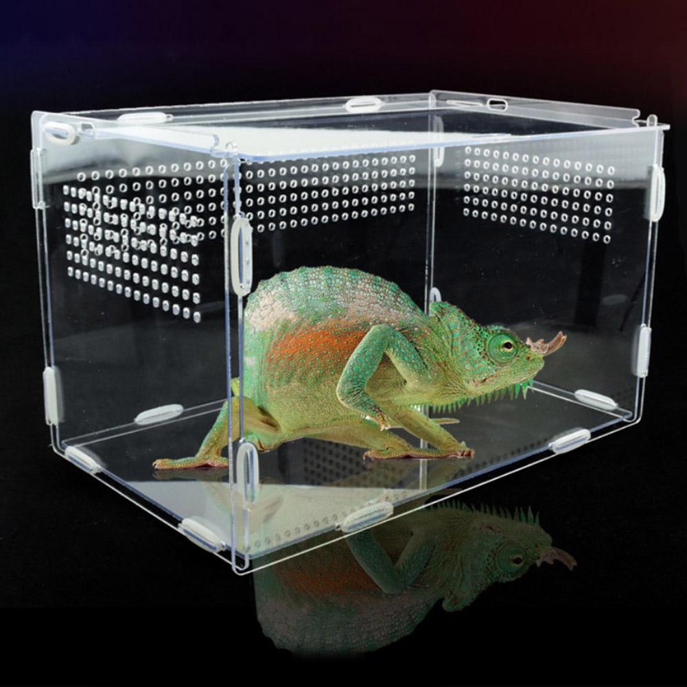 Stor akryl terrarium krybdyr kasse holdbar gennemsigtig kæledyr forsyninger til koldblodede dyr krybdyr kæledyr insekt hjem dekoration