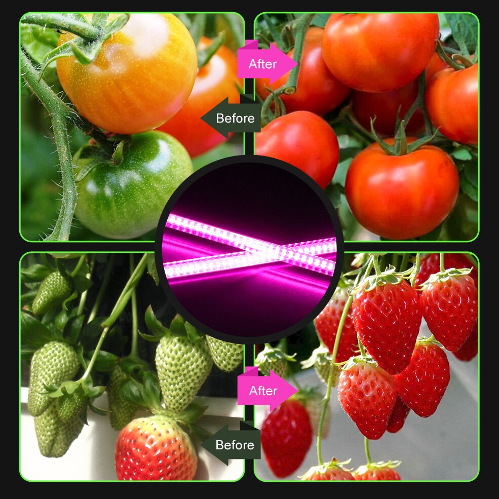 AC 220V Full Spectrum Led Grow Light 7w 50cm Led Phyto Lamp Tube Energy Saving For Plant Grow Indoor Greenhouse Garden Flowers