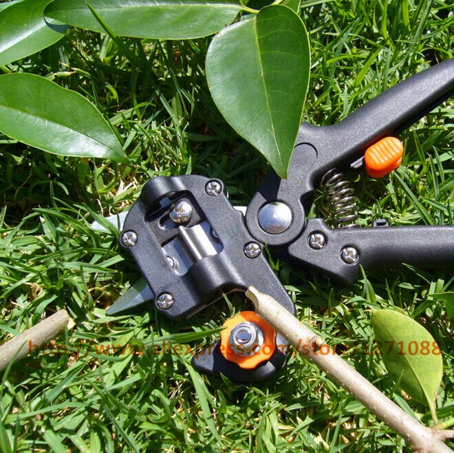 Havefrugt træ beskæringssaks saks podning skæreværktøj klinge haveværktøj sæt beskæremaskine