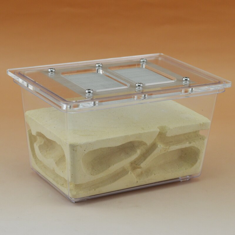 Ecological Pet Ant Nest Three-dimensional Ant Villa Small Four-sided Ant Farm Breeding Nest