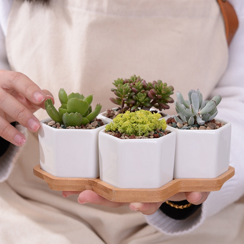 4 stuks zeshoekige bloempotten, witte keramische vetplantenpot met bamboestandaard, kleine bonsaipotten, groene plantenbakken, woondecoratie