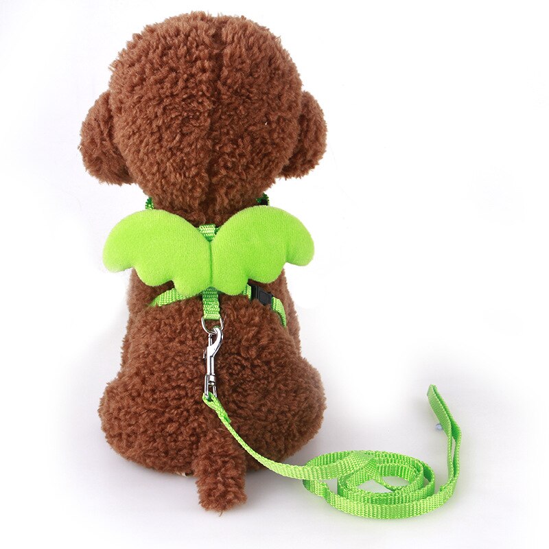 Laisse pour animaux de compagnie, petit ange, sangle de poitrine, ailes, ensemble de harnais pour chien, chat, lait, petit chien, corde pour Mini chien, chiot, fournitures: Green / XS
