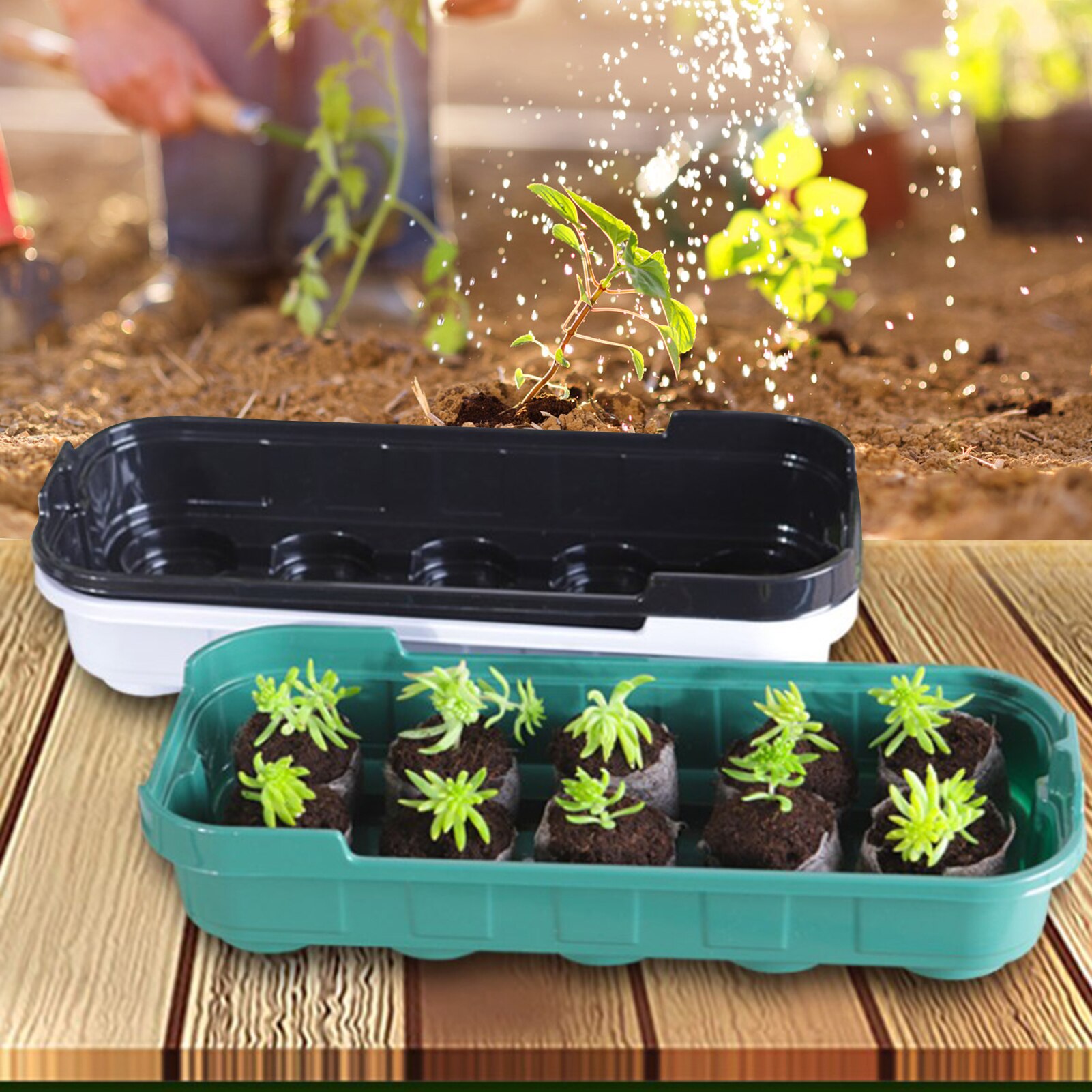 Plateau de démarrage de graines réutilisable 10 cellules, Mini plateau de démarrage de graines d&#39;intérieur en plastique avec rebord de fenêtre en dôme, Kits de serre pour graines