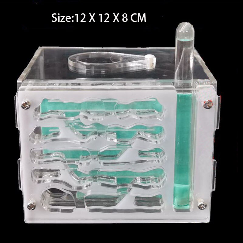 Large Ant Farm Acrylic Ecologico Ant Nest Workshop Transparent Insectes Ants Queen Ants Workshop Ecologico Observation Ant House