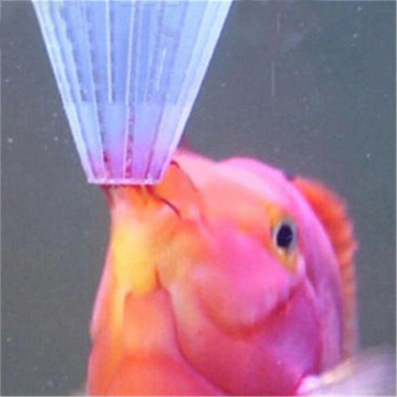 Alimentador de gusanos rojos para acuario, cono de alimentación para pecera, pez ángel, disco, 4 Uds.