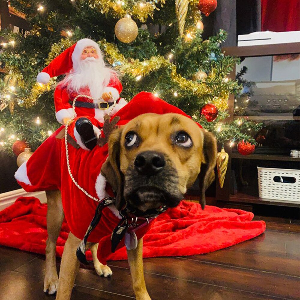 Christmas Santa Claus Costume and Beard Abdominal Muscles 3D Printed Hoodie Dog and Owner Matching Outfits main image 0