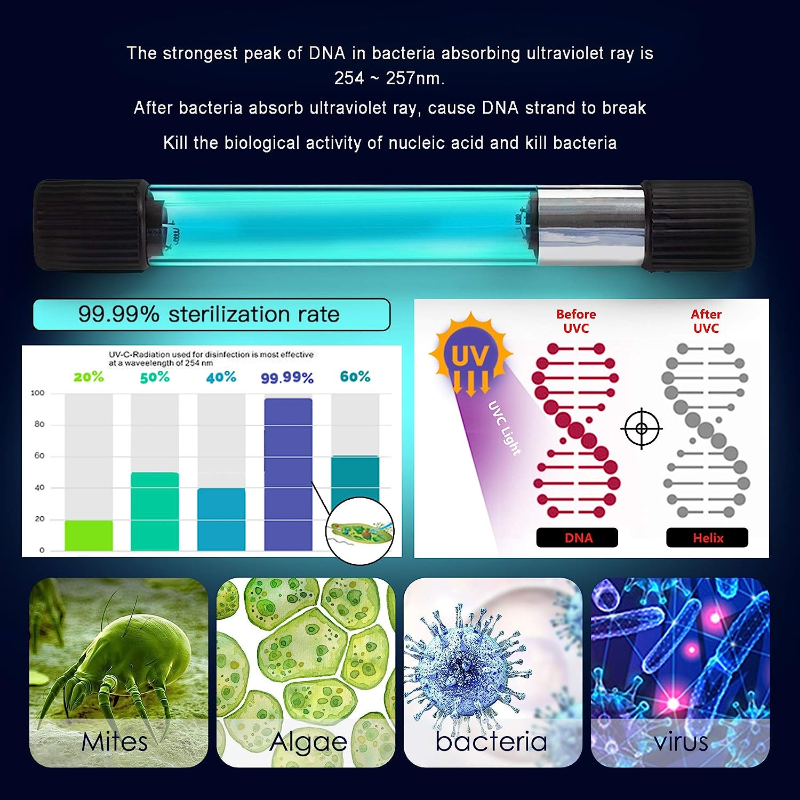 Aquarium Clean Light UV Sanitizer Aquarium Algae Bloom Clean Light with Timer Submersible Waterproof Lamp for Fish Tank