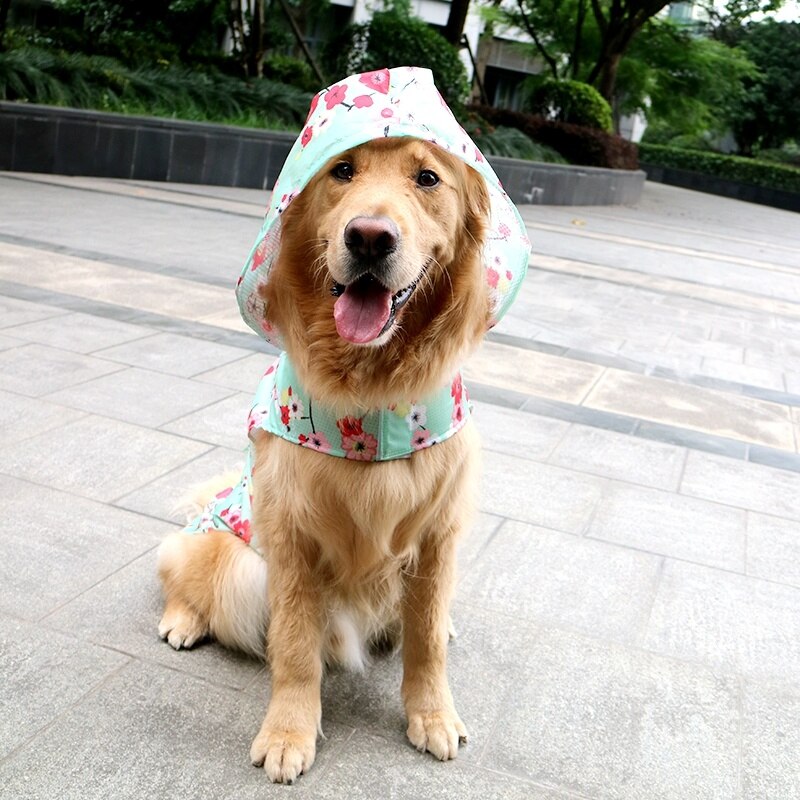 Explosie Huisdier Regenjas Medium En Grote Hond Poncho Super Sterke Waterdichte Grote Maat Gedrukt Golden Retriever Hond Kleren