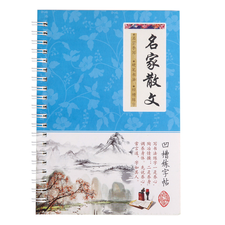 6Pcs/Sets 3D Chinese Characters Reusable Groove Calligraphy Copybook Learn hanzi Adults Art writing Practice Books Libros: green