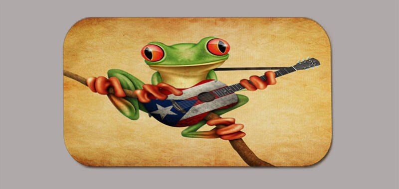 Cartoon gitaar kikker flanel antislip badmat toiletmat douchegordijn met 12 haken badkamerdecoratieset: Badmat ( (1 stuks)