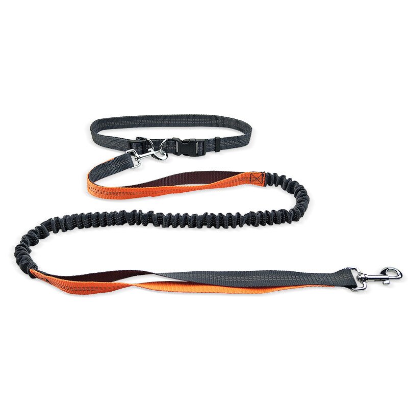 Handsfree-juoksu kävely lemmikkikoira lyijy heijastin säädettävä pentu koiran talutushihna koirille ketju lemmikit koirat tarvikkeet correa perro: Oranssi
