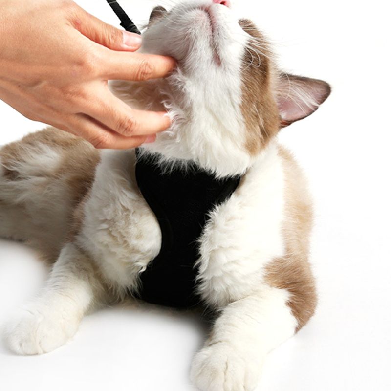 Katten ontsnappingsbestendig instapluchtvest harnas met riem, verstelbaar voor alle weersomstandigheden, zacht
