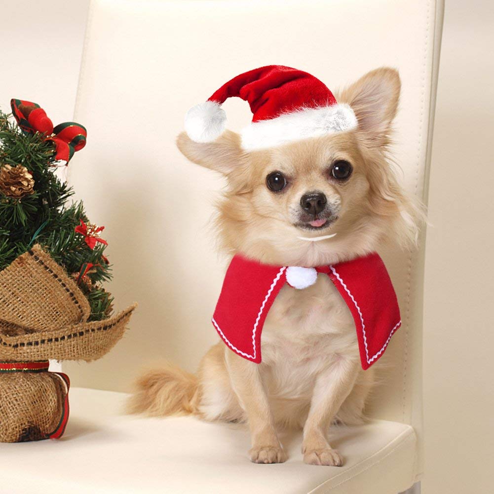 Gorros para perros y gatos, gorro para mascota y Papá Noel, bufanda y Collar con lazo, disfraz de Navidad para cachorro, gatito, gatos pequeños, perros, accesorios para mascotas