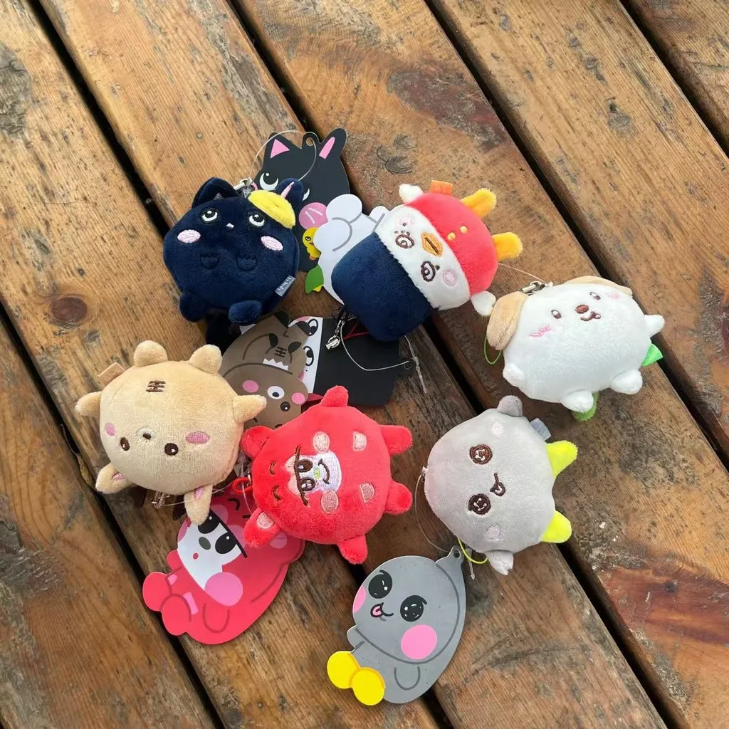 RIIZE Mini llavero de muñeco de peluche Riizing Fan Con Riizing Day Finale SHOTARO WONBIN EUNSEOK SUNGCHAN SOHEE ANTON llaveros