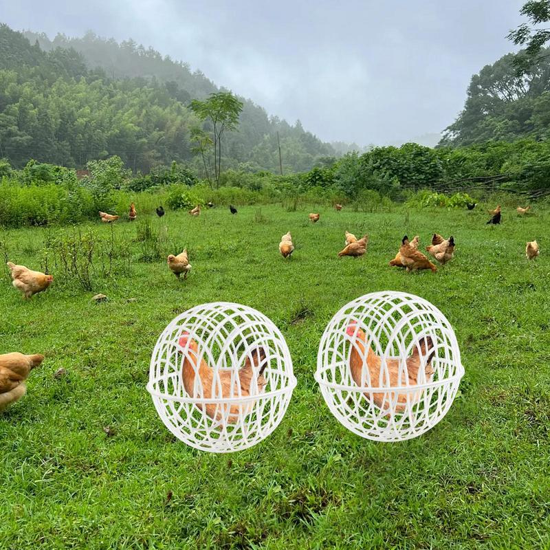 Jaula para pollos para caminar, bola esférica de seguridad para pollos, jaula para bolas de hámster, rango libre, puede enrollar y caminar para alimentar, 3 uds.