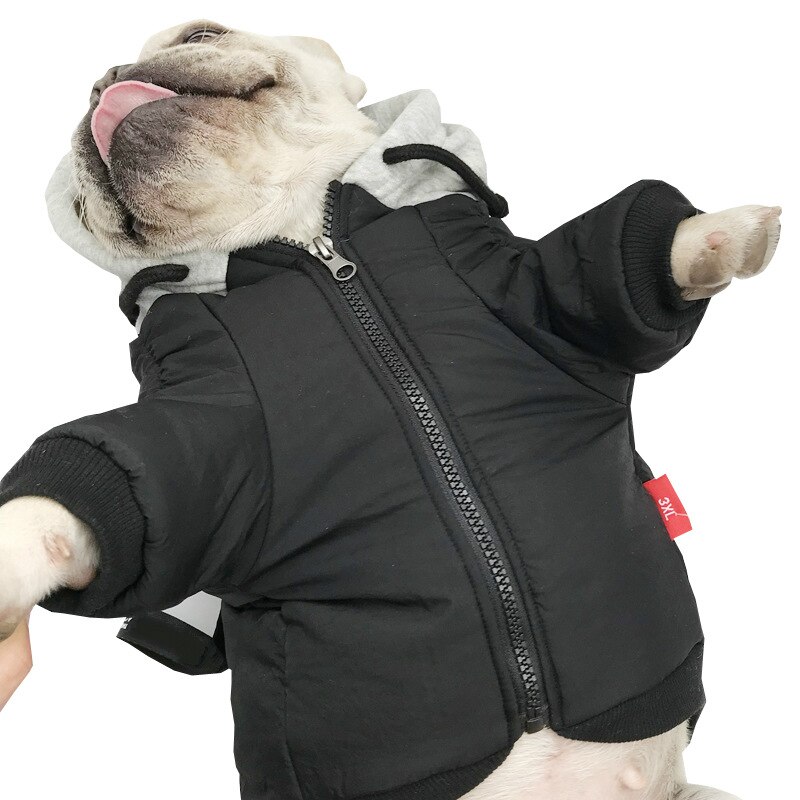 Hundjacka vinterhundkläder för fransk bulldog varm bomullshund vinterkappa hoodie för chihuahua ropa para perro