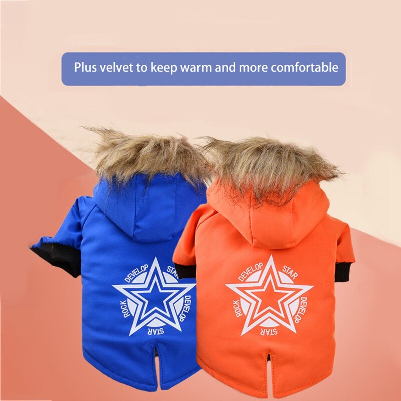 Warme Kleine Hond Kleding Winter Hond Jas Jas Puppy Outfits Voor Chihuahua Yorkie Hond Winter Kleding Huisdieren Kleding Product