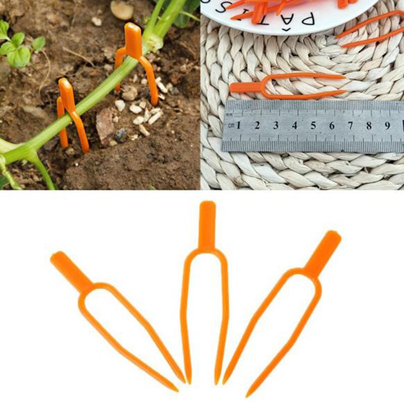 100Pcs Plastic Plant Clips Uitlopers Bevestiging Bevestiging Armatuur Klem Aardbei Vork Landbouw Clip Tuingereedschap