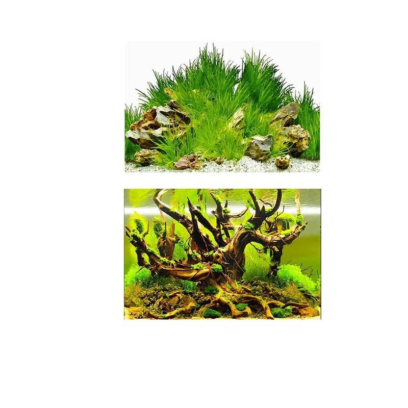 Ezlife 1 pc hav landskab plakat akvarium baggrund dekorere baggrund fisk maleri 3d baggrund akvarium  i6 t 6