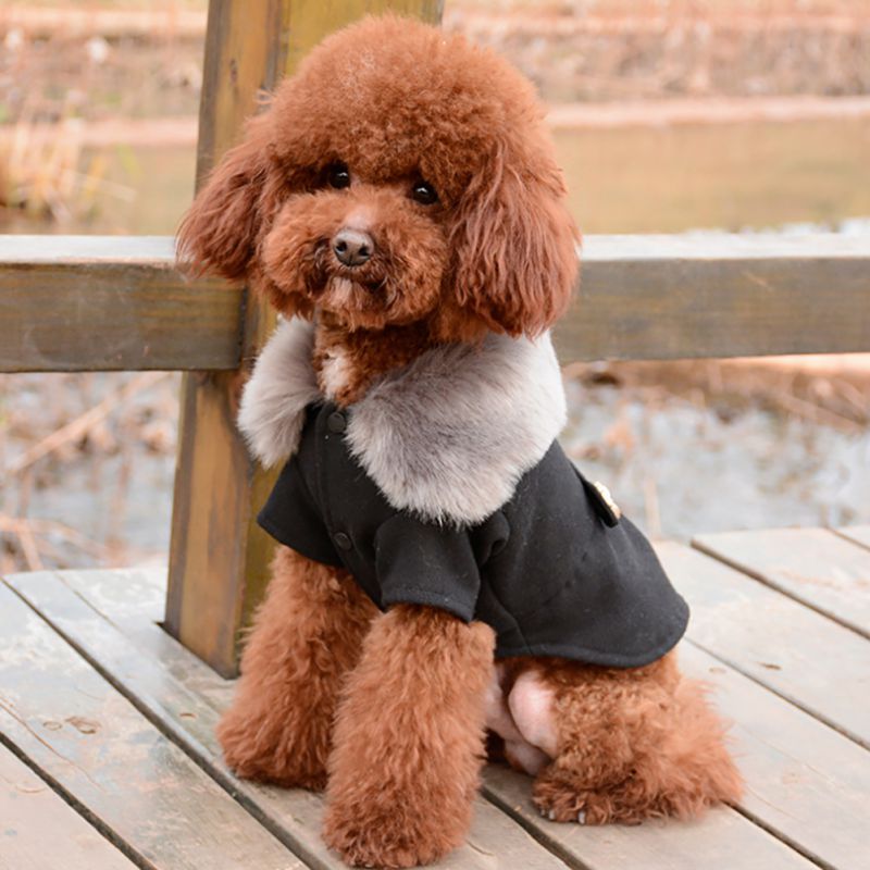 Varmt hundetøj kæledyr hund uldfrakke sød hundejakke hund efterår vinterjakke 2 farve sml xl størrelse vælg