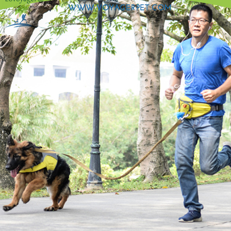Multifunktionel løbende taske hundetræning talje taske rejser sport pet taske bære snacks skraldetaske til hundesnor