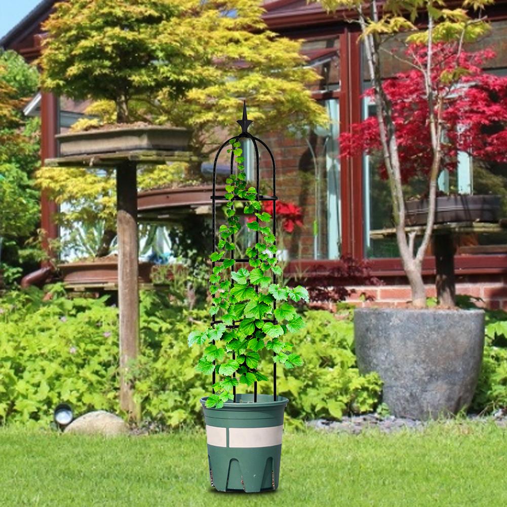 Obelisk plante klatreplante vinstativ haveplante klatreespalier splejset stål blomsterramme stativ plante pottestøtteramme