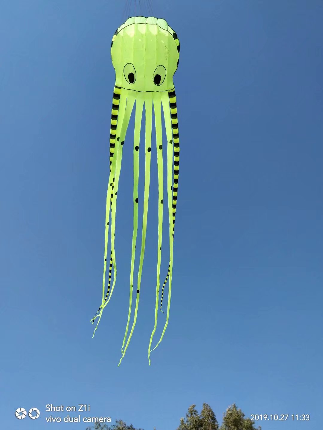 Cerf-volant en forme de poulpe 3D pour enfants, avec poignée, gonflable, 8m, avec spectacle,