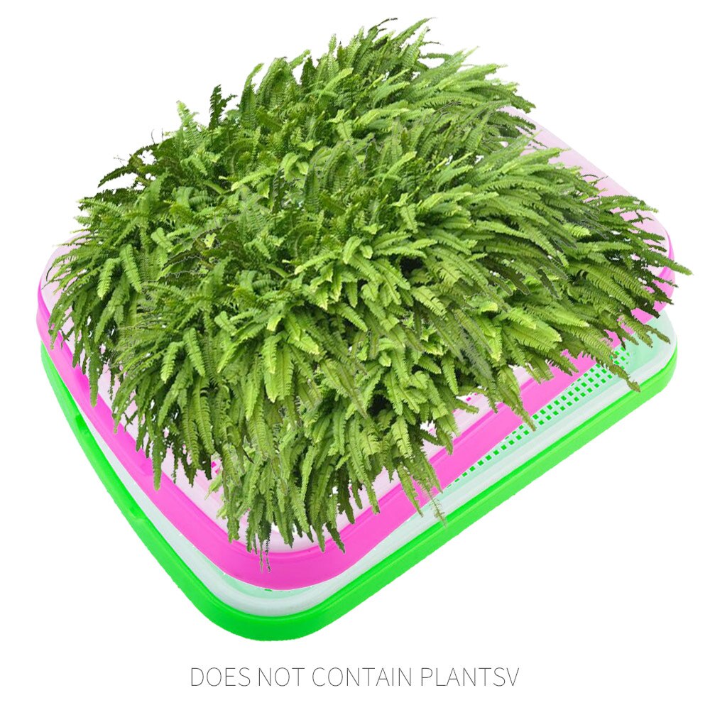 Sprout Grower Planting Containers Multifunction Seed Sprouter Tray Sprouters Grower Food Grade PP Plant Germination Trays